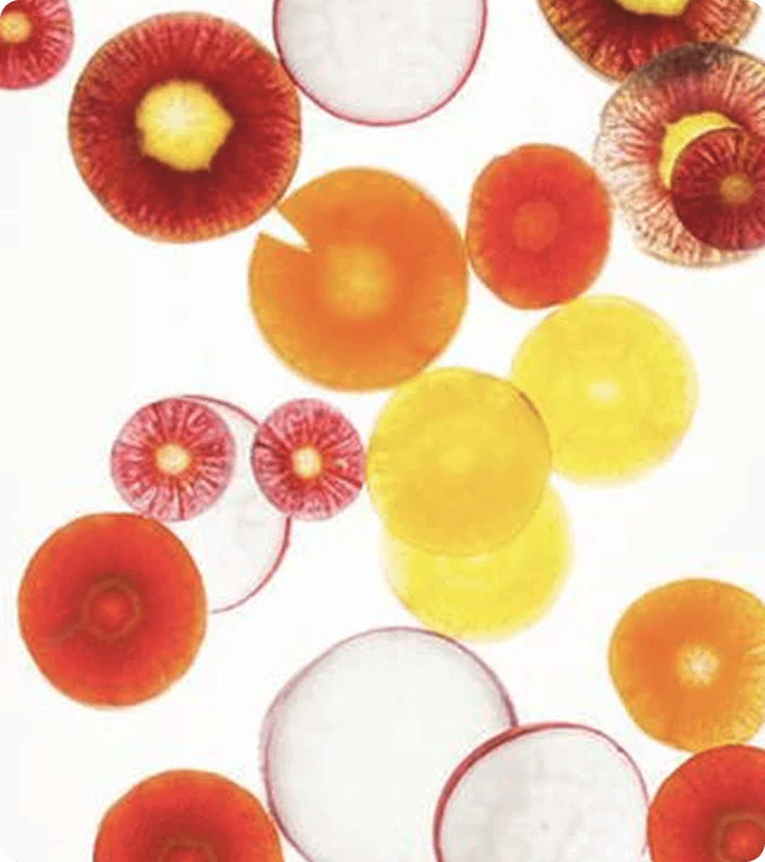 Carotenoids (Lutein, Astaxanthin, Zeaxanthin)