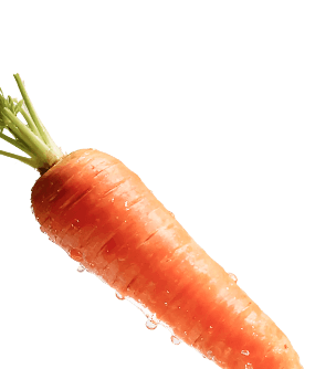 Carrot