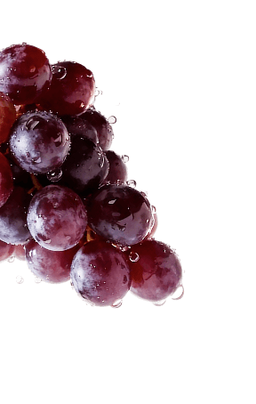 Grapes