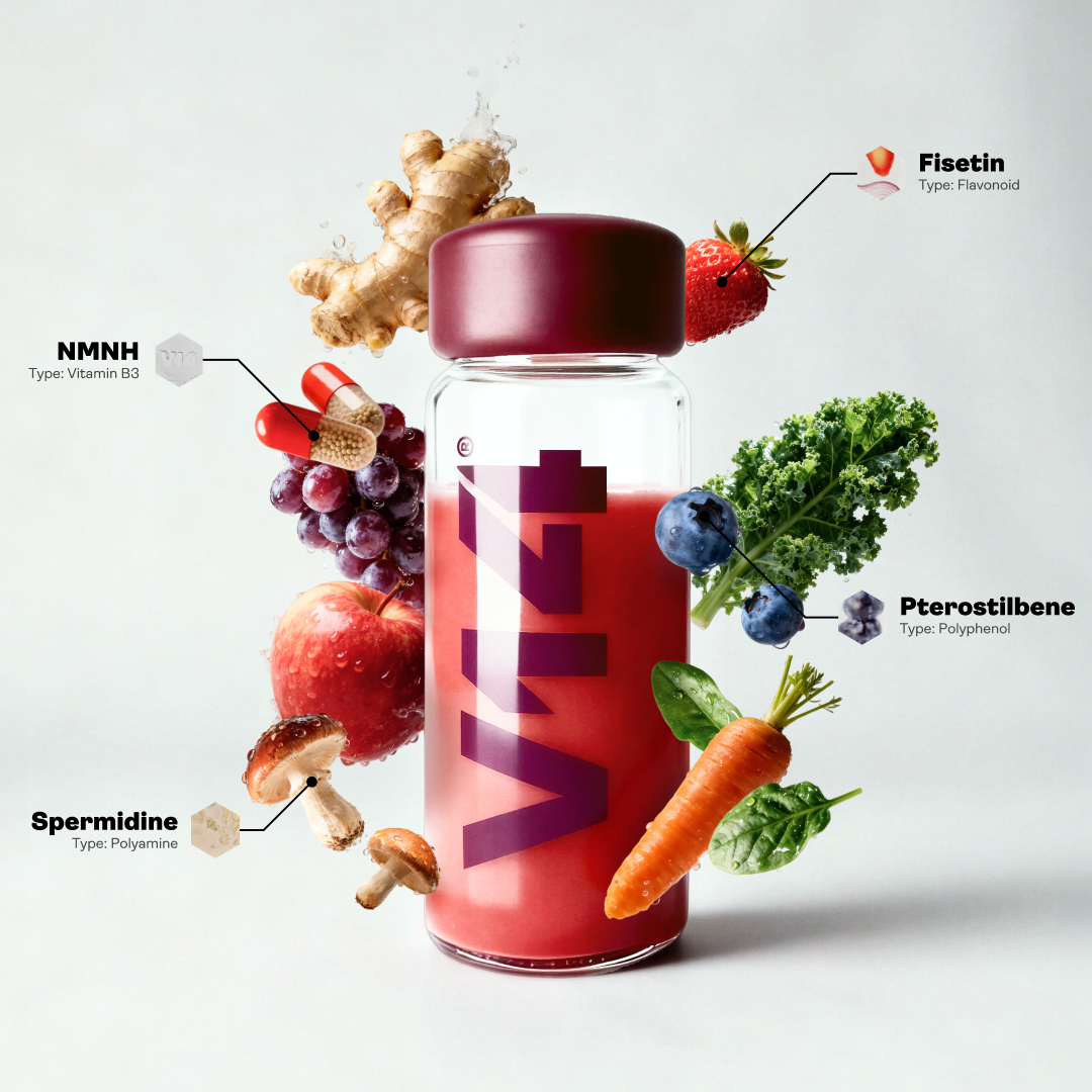 V14® Travel Starter Kit - View 2